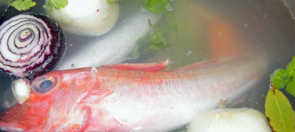 fumetto di pesce