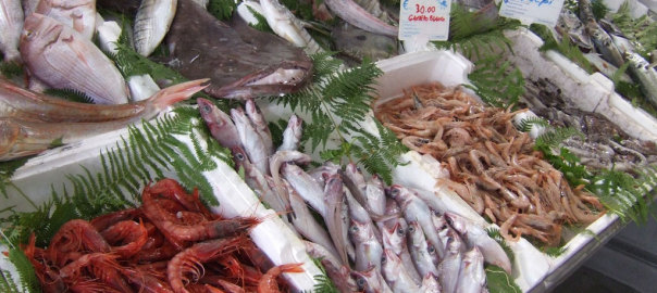 pesce fresco surgelato